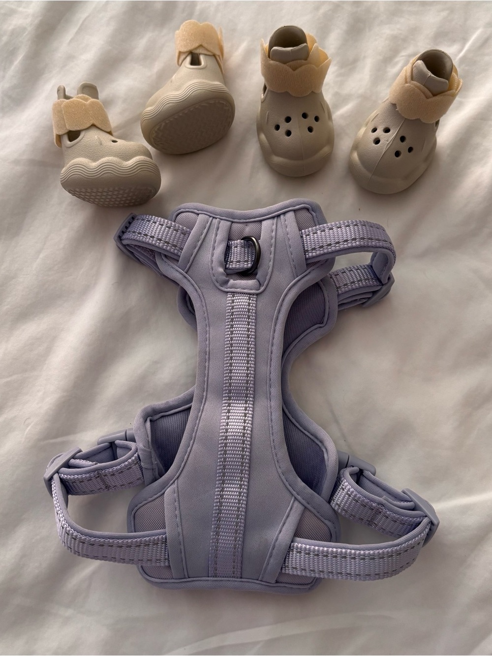 Bundle - QXAPA Dog Shoes (xs) + Boots & Barkley Lilac Harness (s) - Like New